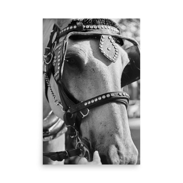 Central Park Horse 24″×36″ Art Print - The New Wave NYC - Poster - 