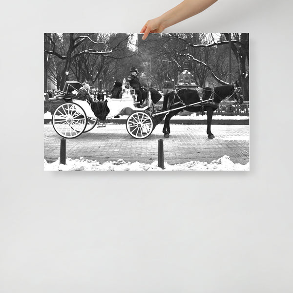 Carriage at Central Park 24″×36″ Poster