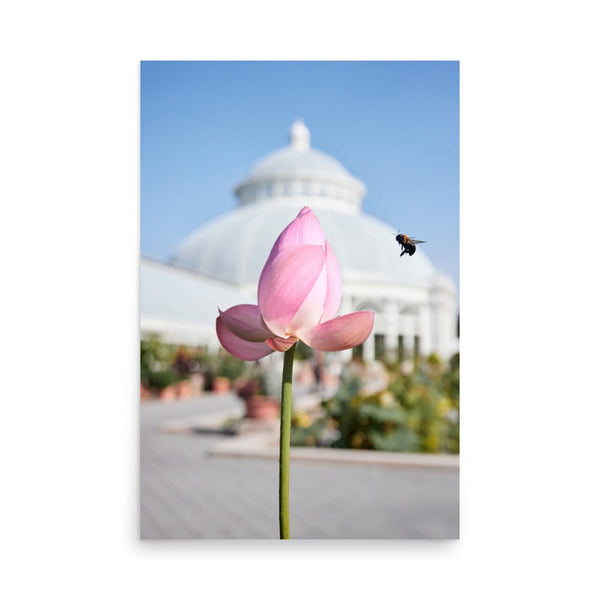 Tulip at the Botanical Garden 24″×36″ Art Print - The New Wave NYC - Poster - 